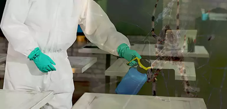 Why Buyers Still Want Homes With Pest Infestations in Virginia Beach, VA?