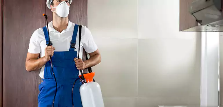 Why Virginia Beach Homeowners Choose Us When Pests Make Selling Difficult